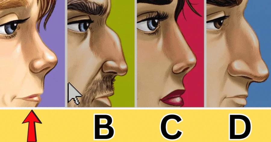 What Secrets About Your Personality Does Your Nose Shape Reveal? 👃💫